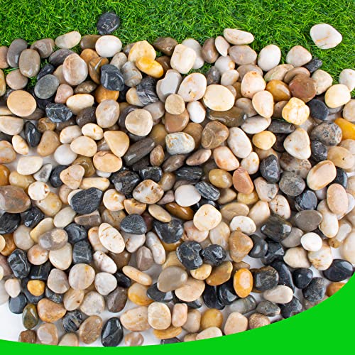 Pebbles for Plants 7 lb Natural River Rocks for Garden Outdoor Aquariums Gravel 1