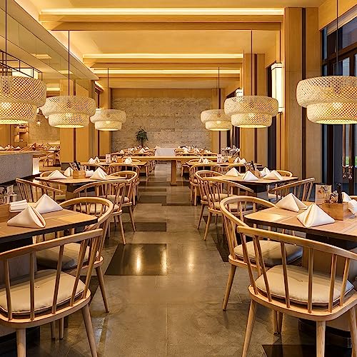 Bamboo Pendant Light