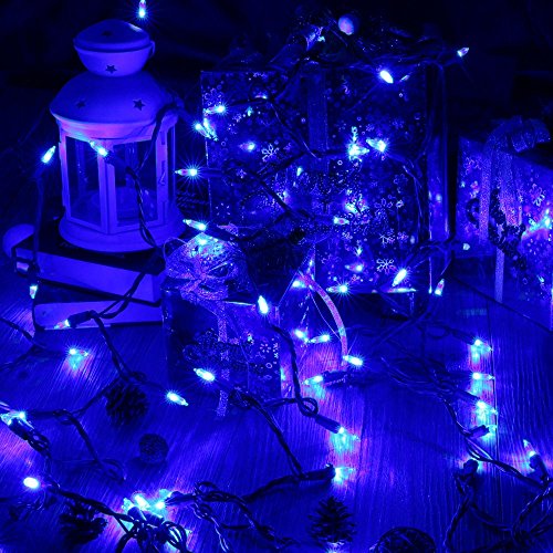 Blue Christmas Lights (33 Foot)