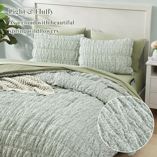 Queen Size Comforter Sets