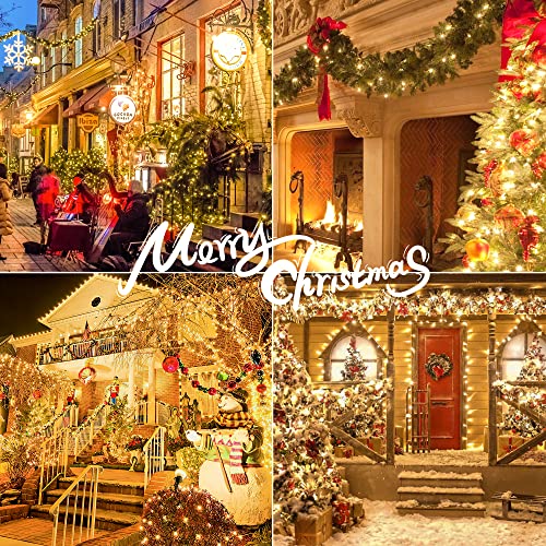 Clear Christmas Lights Set (26 Foot)