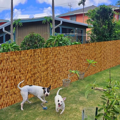 Bamboo Fence Bamboo Screens Outdoor for Patio