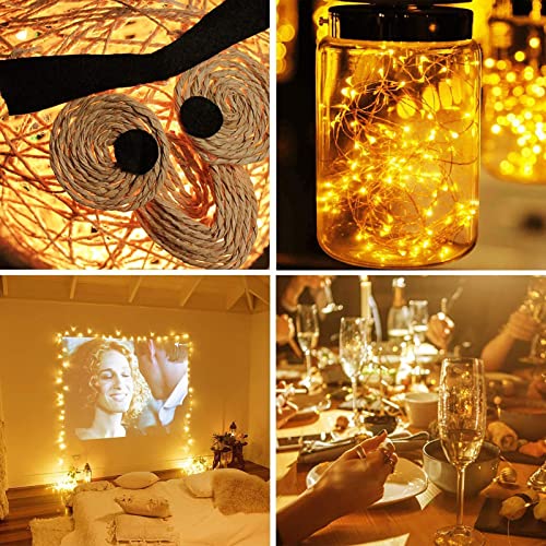 10 Pack Fairy Lights Battery Operated (10 Count)