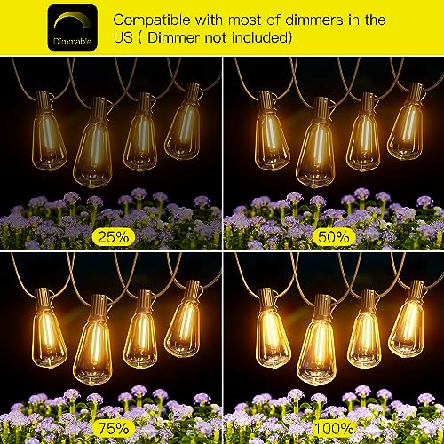 Bistro String Lights Outdoor (60 Foot)