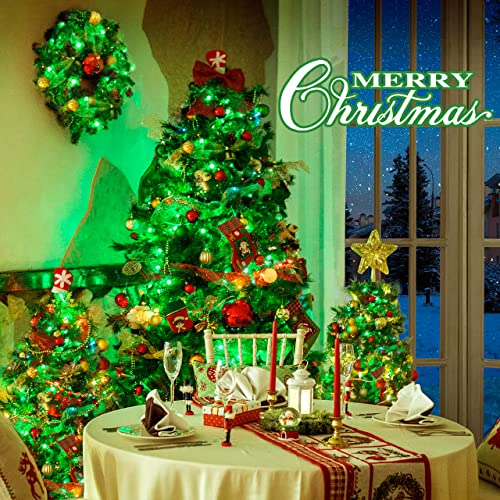 8 Modes 163 FT 500 LED Green Christmas Lights Indoor Outdoor (163 Foot)