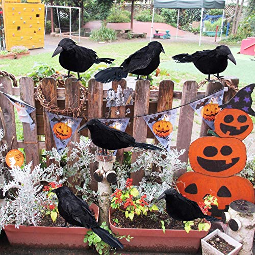 6 Pack Halloween Black Feathered Crows