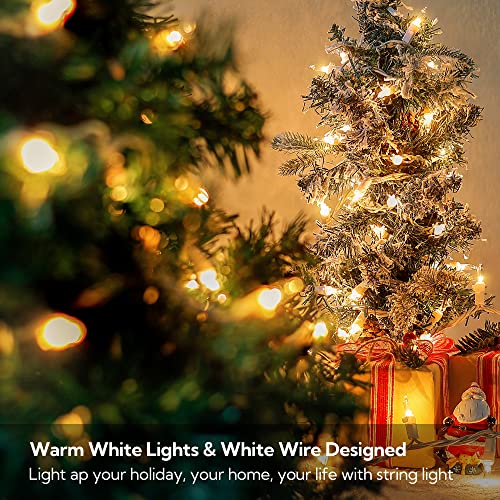 Clear Christmas Lights