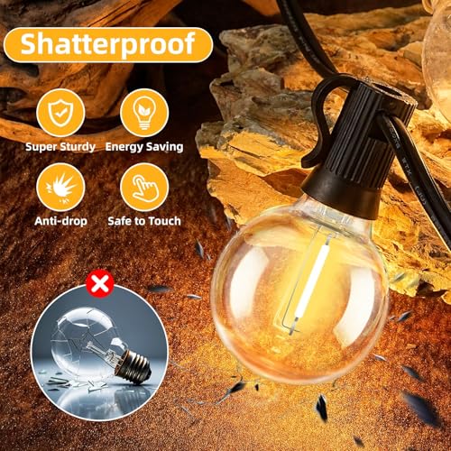 50FT G40 LED String Lights with 25 Shatterproof Bulbs