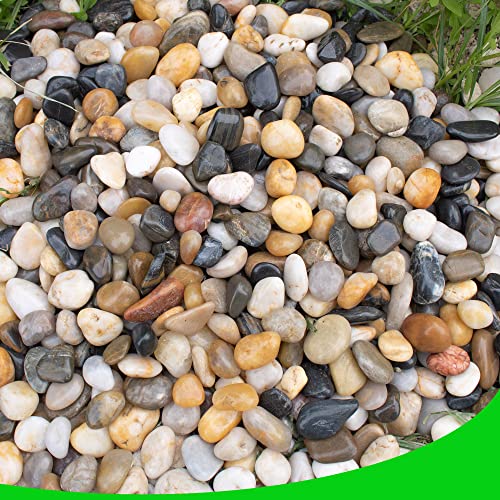 Pebbles for Plants 18 lb Natural River Rocks Garden Decorative Stones Outdoor Aquariums Gravel 1
