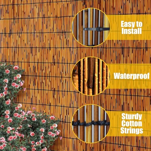 2 Pack Natural Reed Fencing