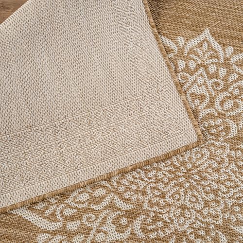 Outdoor Rug 5x7 Medallion Natural Modern Area Rugs for Indoor and Outdoor Patios Kitchen and Hallway Mats Washable Porch Deck Outside Carpet (35 Sq Ft)
