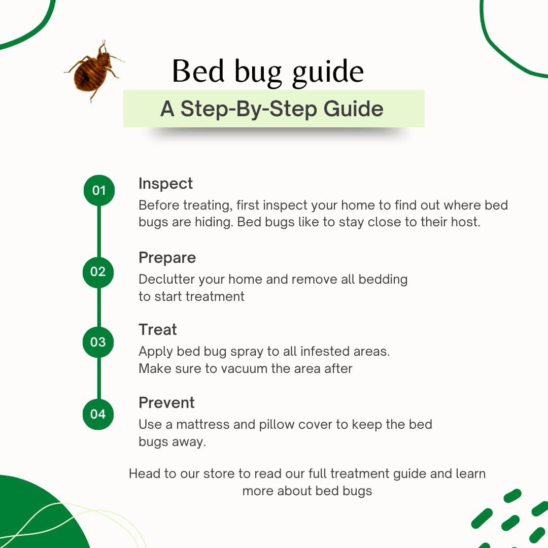 Lice and Bed Bug Laundry Additive - Environmentally Responsible, Odorless, and Stain-Free Liquid Laundry Treatment - Safe for Children and Pets - Any Water Temperature (1 Gallon) - Décor Diaries