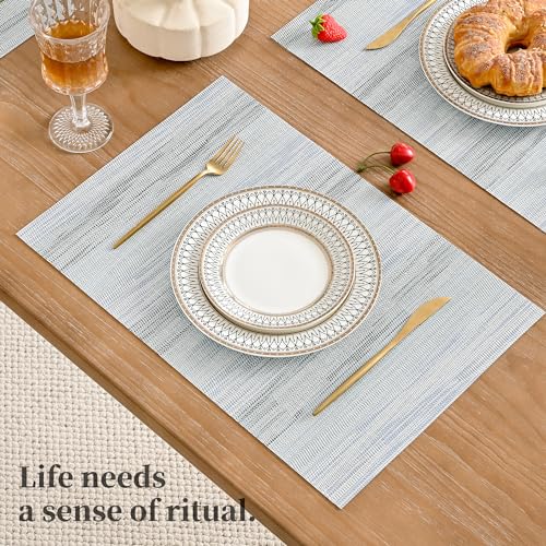 LightSteel Blue Placemats Set of 8 (8 Count)