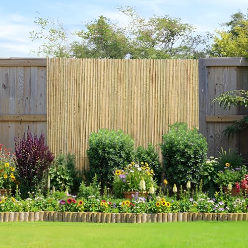 Natural Rolled Bamboo Fence (24 Sq Ft)