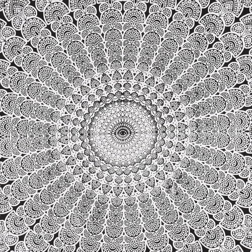 Organic Cotton