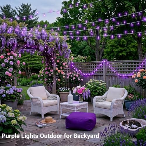 99Ft Purple Halloween Lights (99 Foot)