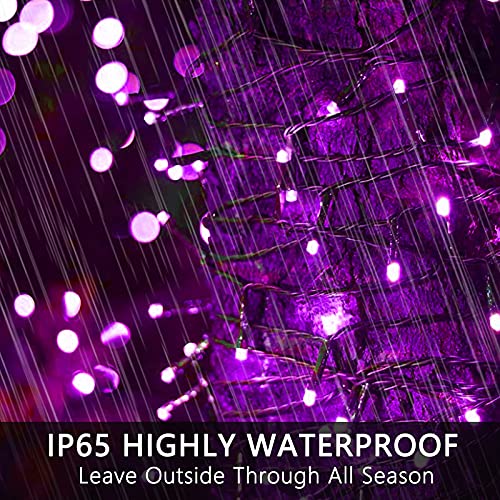 Purple Halloween Lights String Outdoor Plug In 78 FT 240 LED (33 Foot)