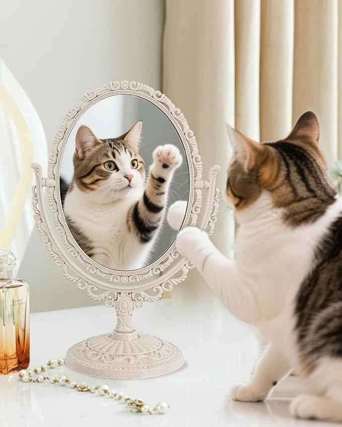 XPXKJ Vintage Vanity Mirror Shabby Chic Decor | 360° Rotating Double-Sided Table Makeup Mirror with Stand Bedroom Decoration Perfect for Tabletop, Desk, or Makeup Station