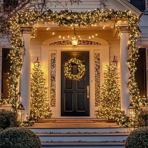 Christmas Lights (21 Foot)