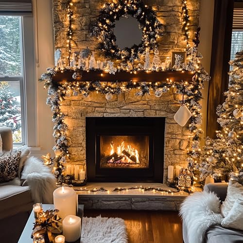 Christmas Lights (21 Foot)