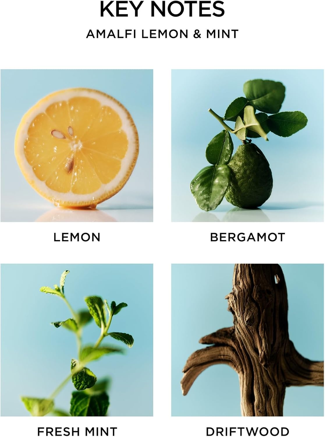 NEST New York Scented Classic Candle, Amalfi Lemon & Mint - 8.1 oz - Up to 60-Hour Burn Time - Reusable Glass Vessel