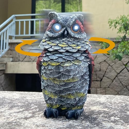 Owl Decoy to Keep Birds Away