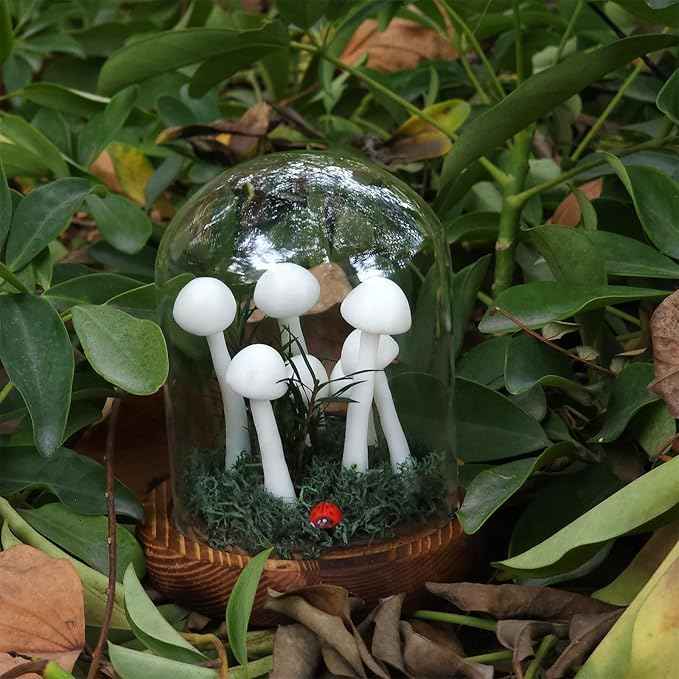 White Mushroom Lamp, Decor LED Light in Glass Dome with Base for Home Bedroom Decor, Birthday Valentines Anniversaries Gifts Box(White)