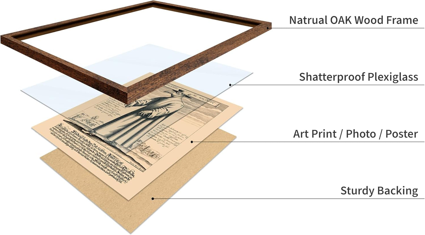 Poster Master Vintage Medieval Poster - Retro Illustration Print - Gift for Friend - Plague Doctor, Pandemic Mask, Physician, Black Death - Wall Decor for Home, Living Room, 8x10 Brown Framed