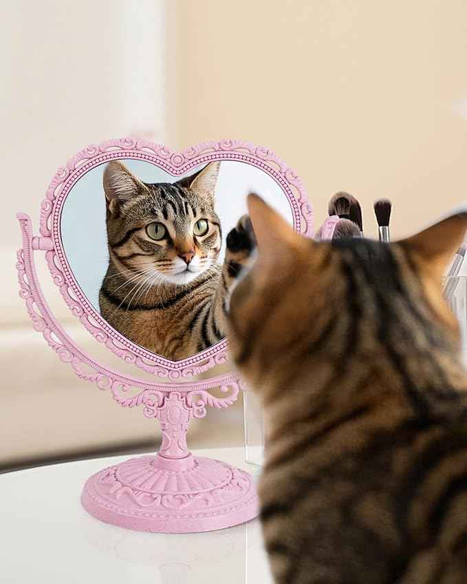 D&XQAUO Pink Heart Mirror for Desk Cute Coquette Room Decor Small with Stand,Vanity & Bathroom Double-Sided Rotating Makeup Table Mirror
