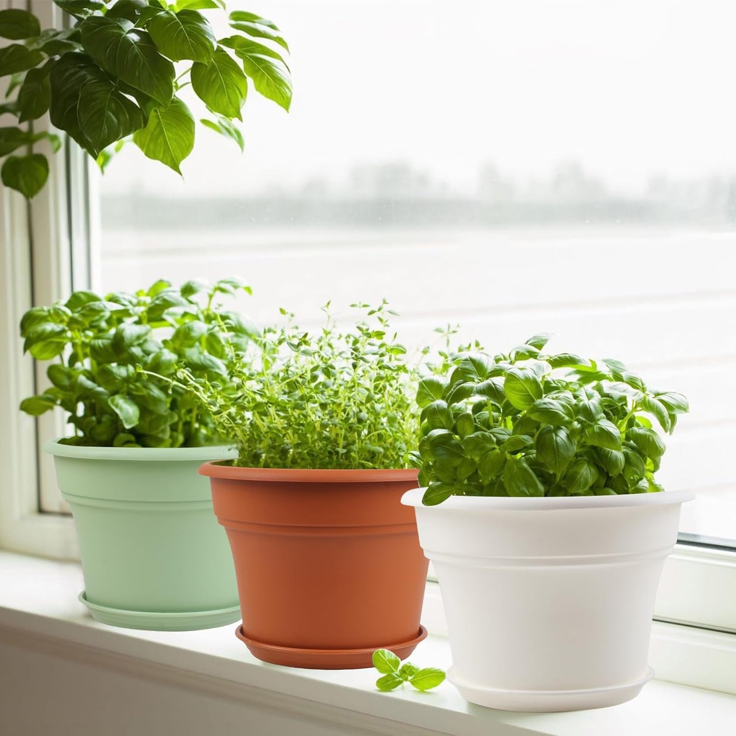 6 Inch Plastic-Flower Pot-for-Indoor Plants, 6 Pack Outdoor Plant Pots with Drainage Holes & Saucers, Resin Garden Pots Planters