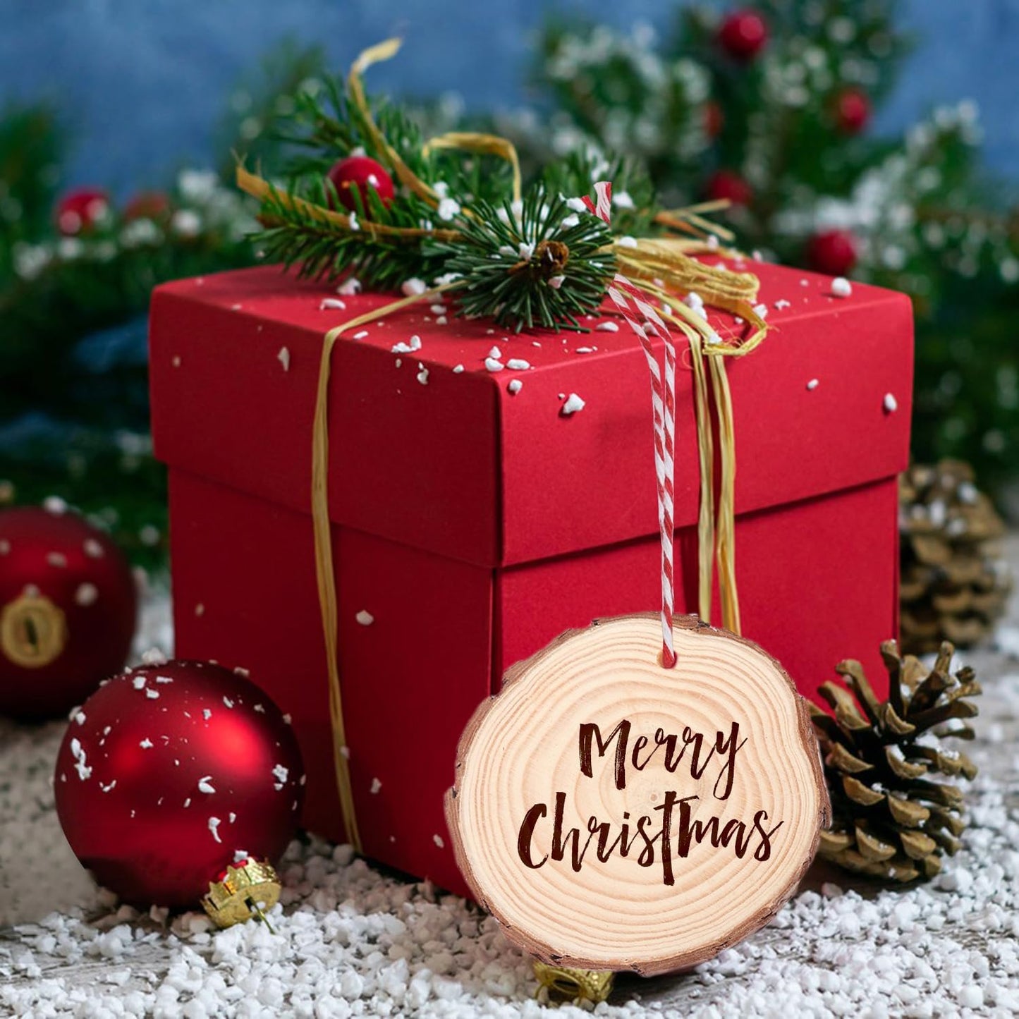 60 PCS 4 inch Unfinished Wood Slices with Hole, Natural Wood Slices, Predrilled with Hole Wood Slice for DIY Arts Craft Christmas Ornaments by GNIEMCKIN