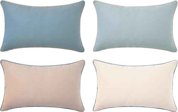MONDAY MOOSE Decorative Throw Pillow Covers Cushion Cases, Set of 4 Soft Velvet Modern Double-Sided Designs, Mix and Match for Home Decor, Pillow Inserts Not Included (12x20 inch, Beige/Light Blue)