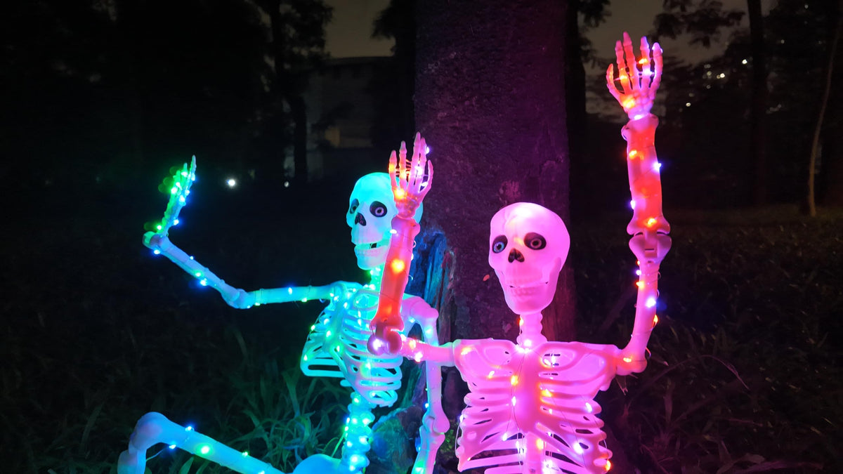 2Pack 36" Halloween Light up Skeleton Decor Outdoor (Blue&Green+Orange&Purple)