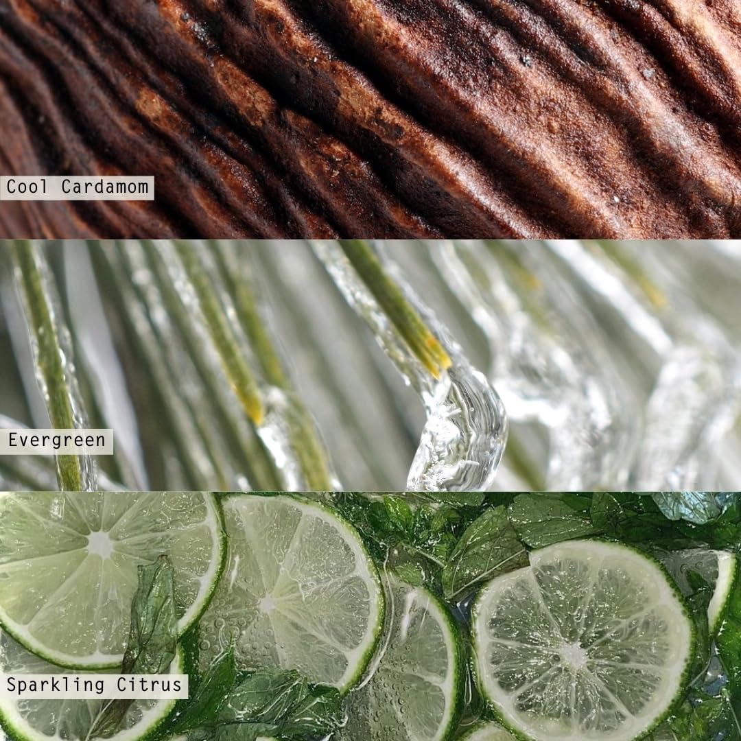 ILLUME Vanity Tin Candle, Winter White, Signature 11.8 oz.