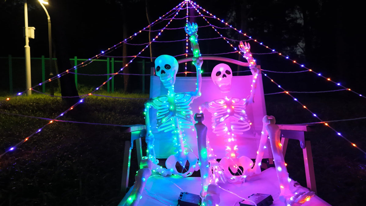 2Pack 36" Halloween Light up Skeleton Decor Outdoor (Blue&Green+Orange&Purple)
