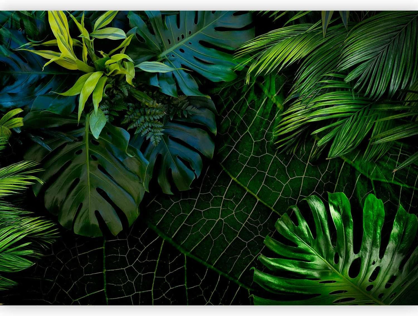 artgeist Wall Mural Tropical 98"x69" XXL Peel and Stick Self-Adhesive Wallpaper Removable Large Sticker Foil Wall Decor Print Picture Image Design