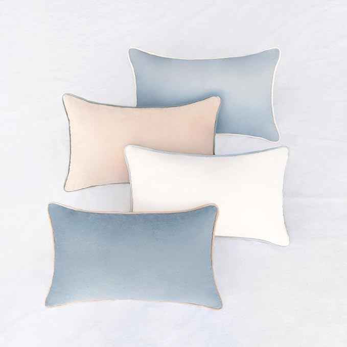 MONDAY MOOSE Decorative Throw Pillow Covers Cushion Cases, Set of 4 Soft Velvet Modern Double-Sided Designs, Mix and Match for Home Decor, Pillow Inserts Not Included (12x20 inch, Beige/Light Blue)