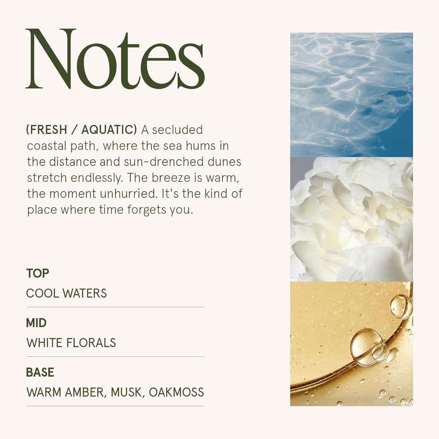 LA JOLIE MUSE Aegean Sea & Dune Candle –Cool Water, White Florals & Warm Amber | 19 oz Large Wooden Wick Candle | Natural Soy Wax | 90 Hours Clean Burn | Gift-Ready for Hosts & Gatherings