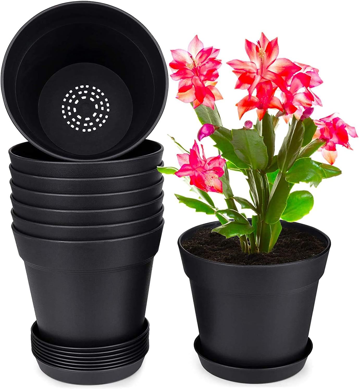 homenote Pots for Plants, 8 Pcs 7.5 Inch Plastic Planters with Multiple Drainage Holes and Tray - Plant Pots for All Home Garden Flowers Succulents, Matte Black