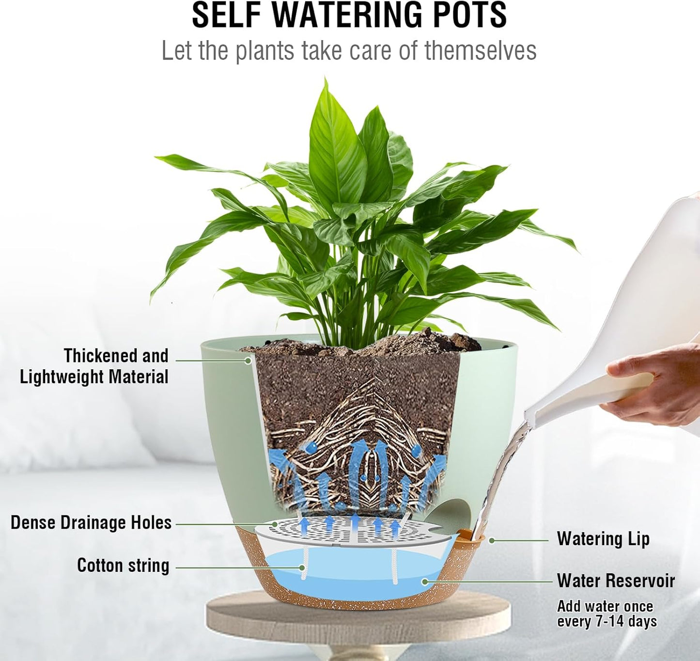 10 inch Self Watering Hanging Planters for Indoor Plants, 2 Pack Hanging Baskets for Outdoor Plants, Hanging Flower Pots with Drainage Holes & 2 Kinds of Plant Hangers for Home Decor, Green