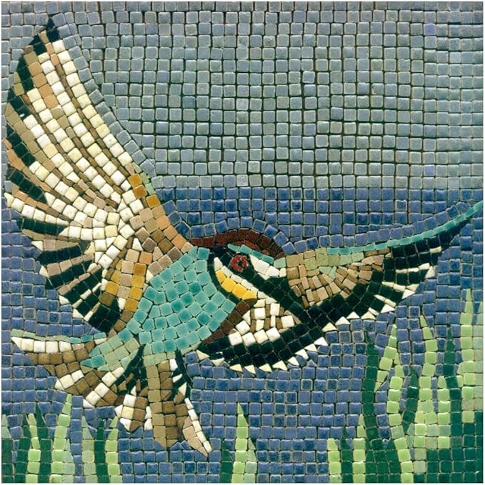 Get Creative with Our DIY Mosaic Tiles Kit for Adults, Square 7inch (20cm) Humming-Bird