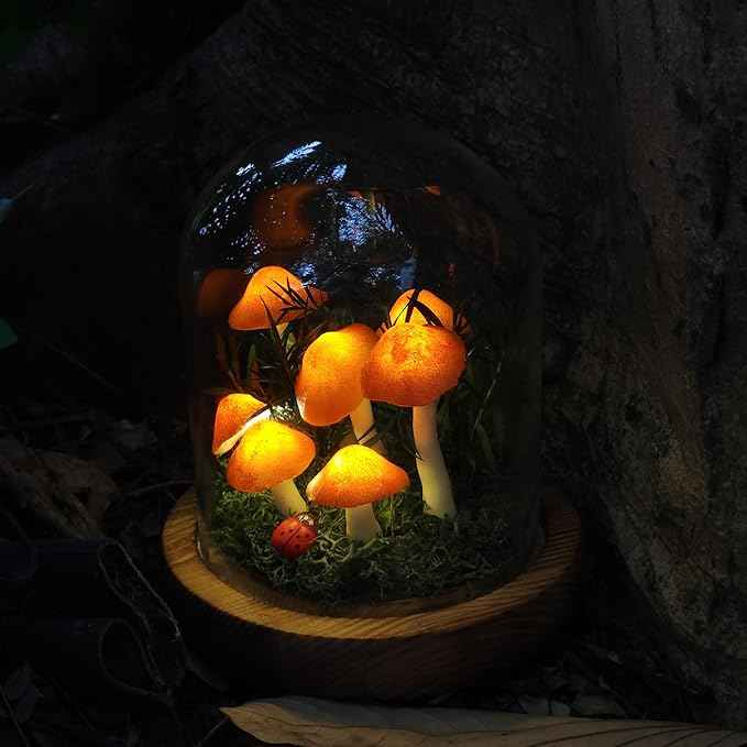 Mushroom Lamp, Decor LED Light in Glass Dome with Base for Home Bedroom Decor Birthday with Birthday Valentines Anniversaries Gifts Box (Orange)