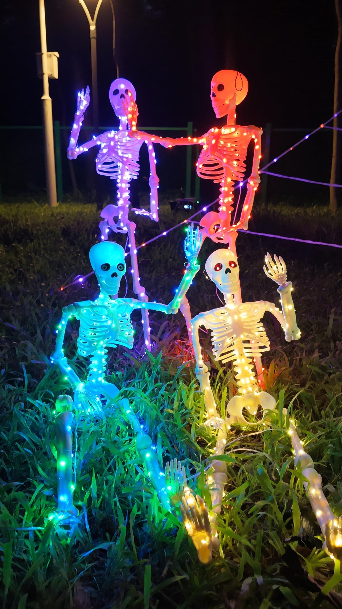 2Pack 36" Halloween Light up Skeleton Decor Outdoor (Blue&Green+Orange&Purple)
