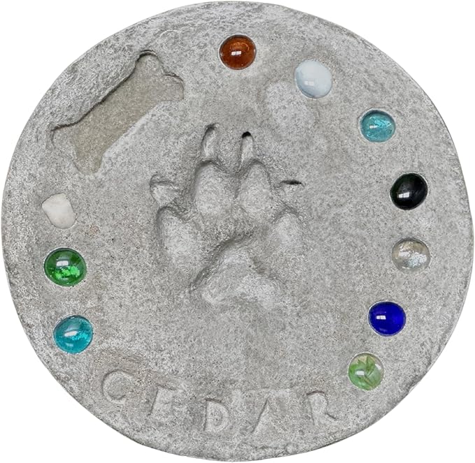 DIY Paw Print Kit for Pets, Personalized Memorial Stepping Stones for Gifts and Pets, Pet Garden Stone (10 Inch + Stamp Set, Orange)