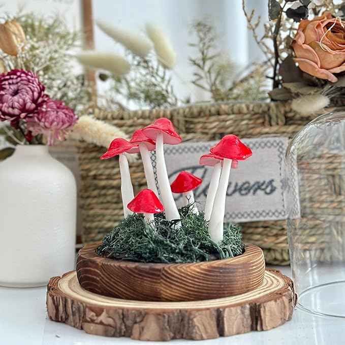 Mushroom Lamp, Decor LED Light in Glass Dome with Base for Home Bedroom Decor Birthday with Birthday Valentines Anniversaries Gifts Box (red)