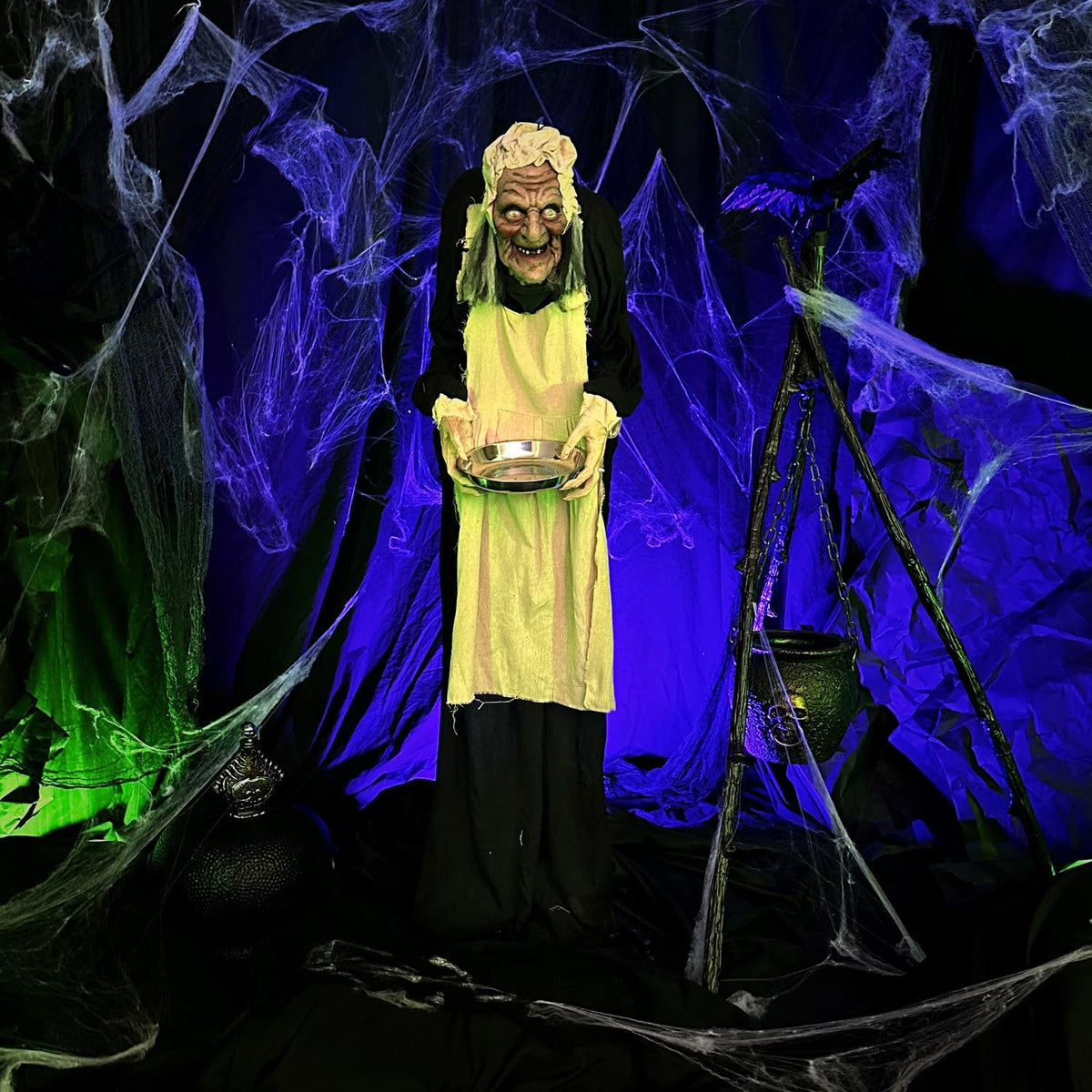 Life Size 5.0 (60" Standing Old lady)