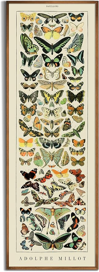 Vintage Farmhouse French Country Bedroom Wall Decor Above Bed - 10x30" - Vertical Wall Art Over the Bed - Panoramic Butterfly Pictures Sign - Canvas Oil Painting Long Narrow Millot Papillons Wall Art