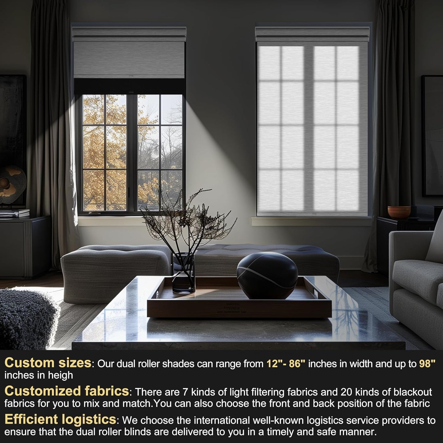 BERISSA Cordless Dual Roller Shades with Cassette Valance,Double Window Shades Blackout and Light Filtering Shades,Day and Night Roller Shades for Home Office Door.Linen Black and White.68 W x 86" H