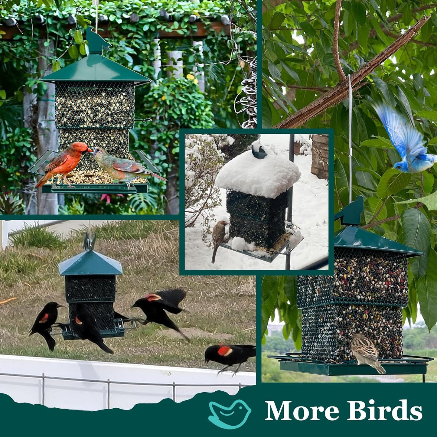 Bird Feeders for Outdoors, 6.5lb Large Capacity, Heavy Duty Metal Bird Feeder, Supports Cardinal, Finch, Blue Jay and Wild Birds(Green)