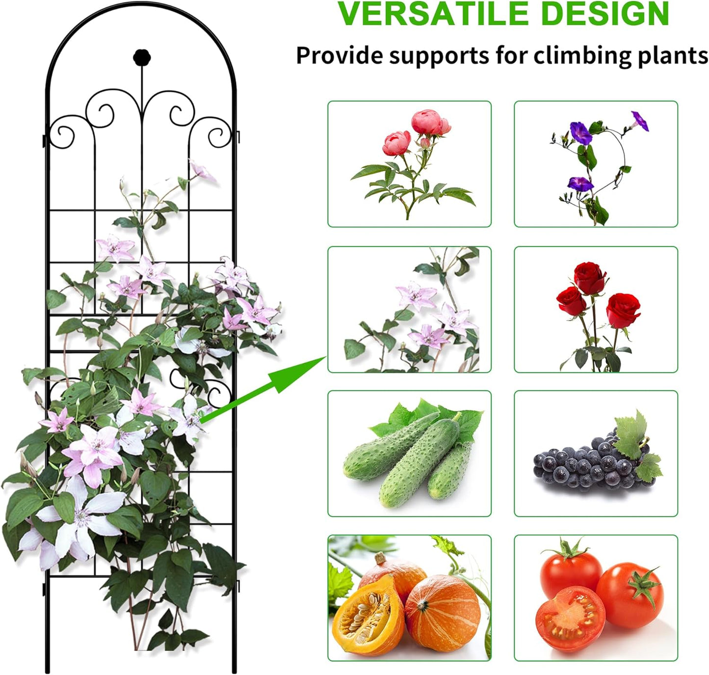 LZRS 4 Pack 71x20in Rustic Iron Arch Decoration Garden Trellis with Black Metal Coating – Perfect for Supporting Climbing Plants Outdoor, Roses, Vines, Flowers, and Vegetables.